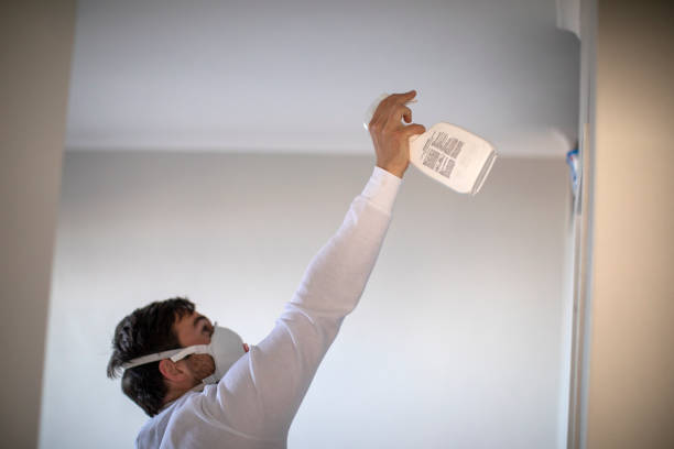 Best Attic Mold Removal  in Forest, OH